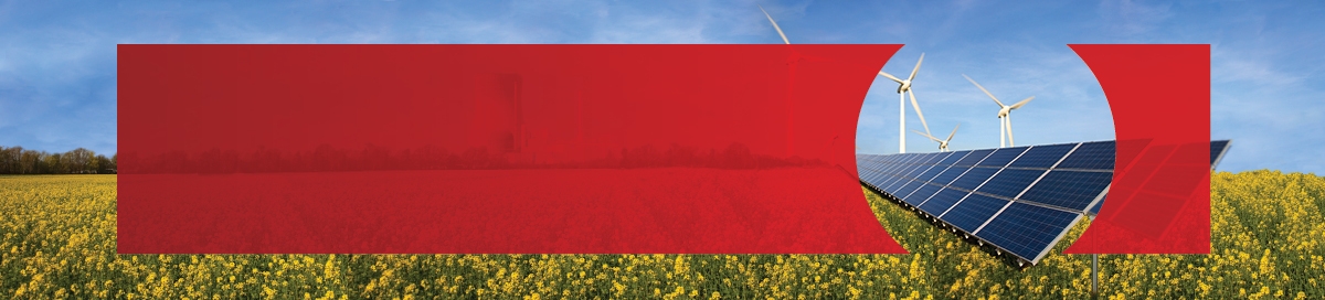 Windmills and Solar Panels in a field