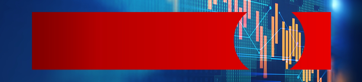 Capital Market Solutions banner with financial graph over the globe
