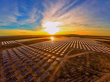 Image of a field of solar panels
