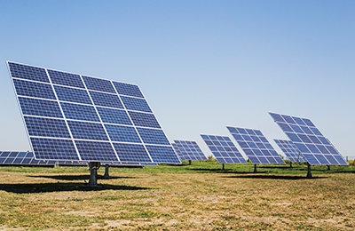 A field filled with solar panels