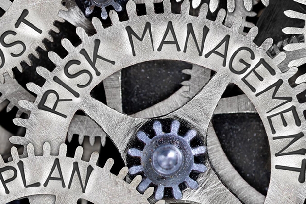 The words Risk Management written on cogs and gears