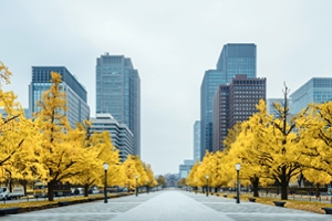 Image of a tree-lined street in Japan. 