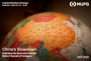 China's Slowdown market commentary Market Publication