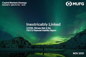 Capital Markets Strategy - Inextricably Linked article cover