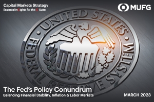 The Fed's Policy Conundrum
