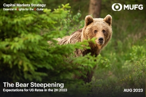 Bear looking in woods